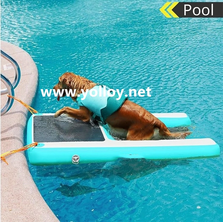 rampa inflável para cães para piscina