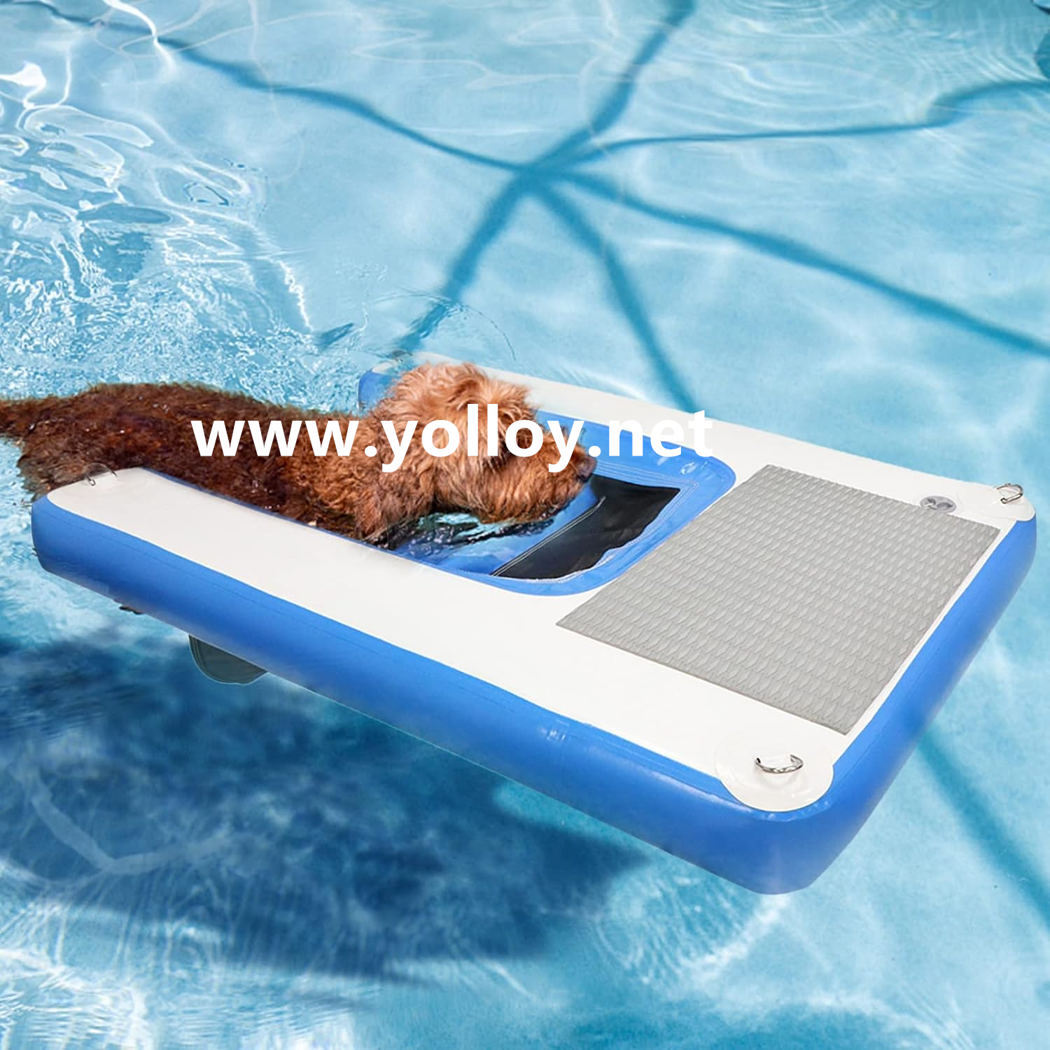 Rampe flottante gonflable pour chiens pour bateaux, quais et piscines (3)