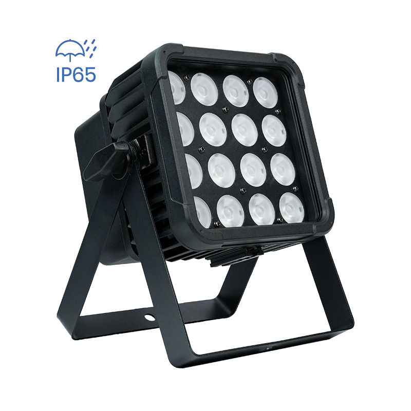 NEW IP PAR - LiteLEES