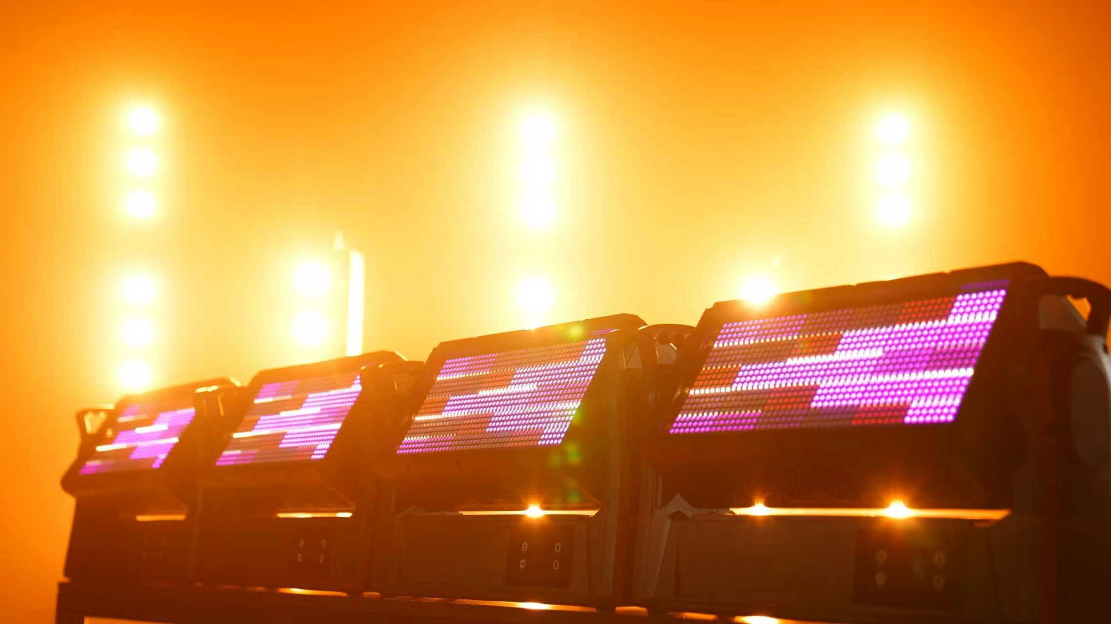 微信图片_20260203171250_1494_185 - LiteLEES