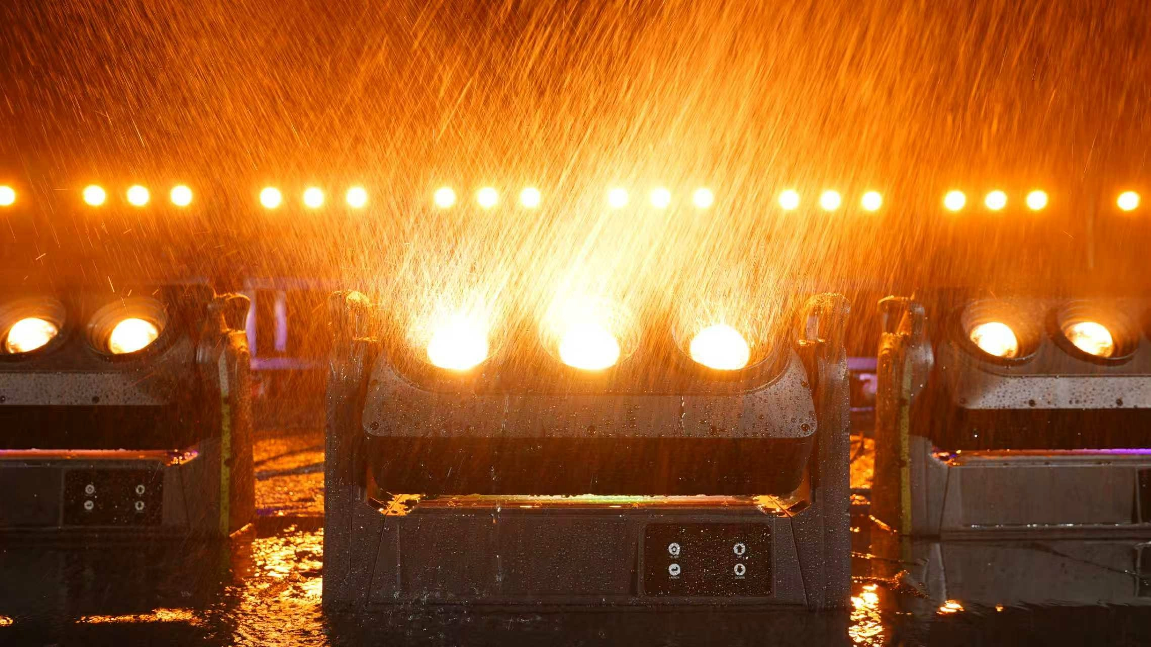 微信图片_20260203171248_1491_185 - LiteLEES