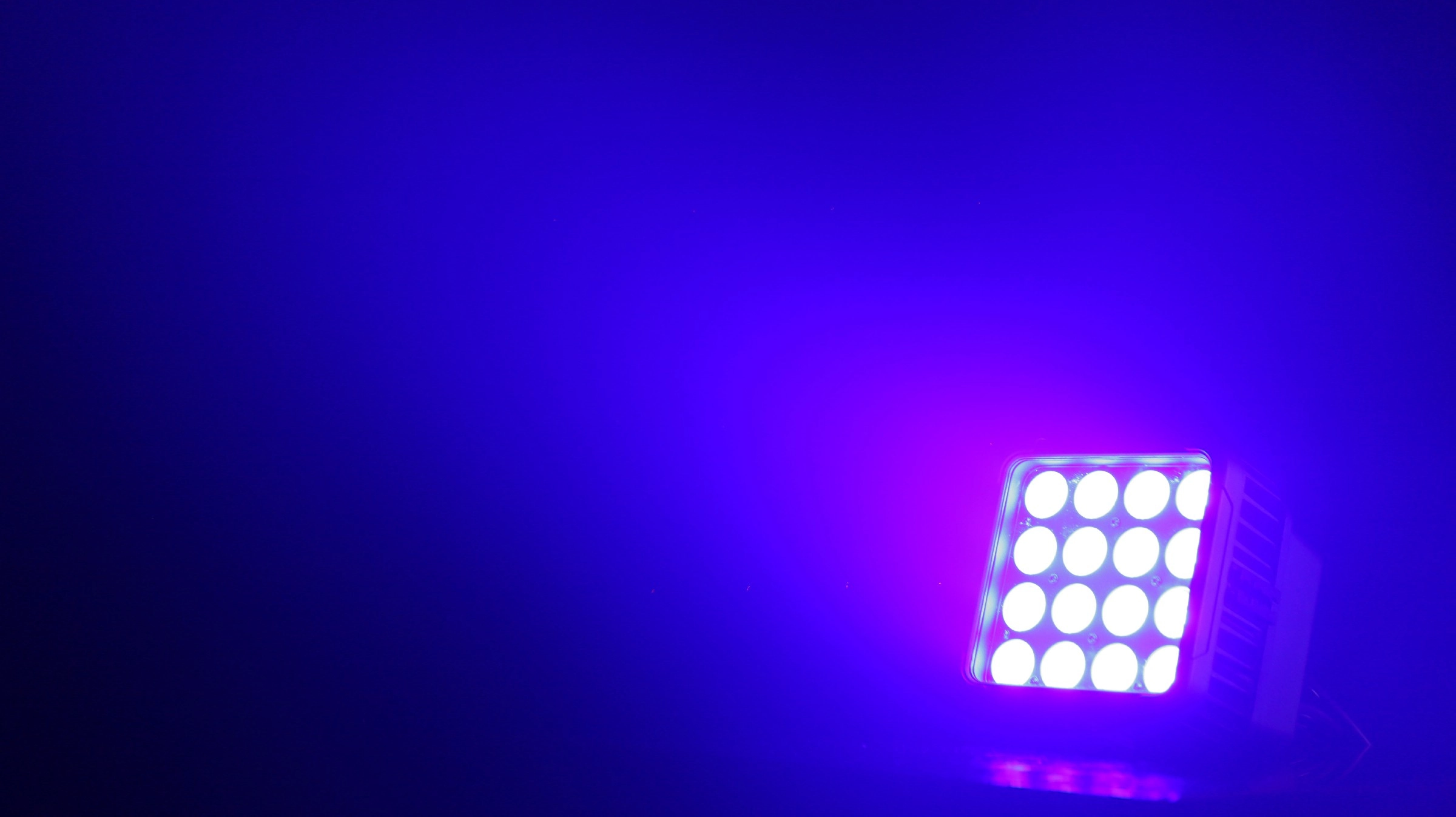 IMG_8199~1 - LiteLEES