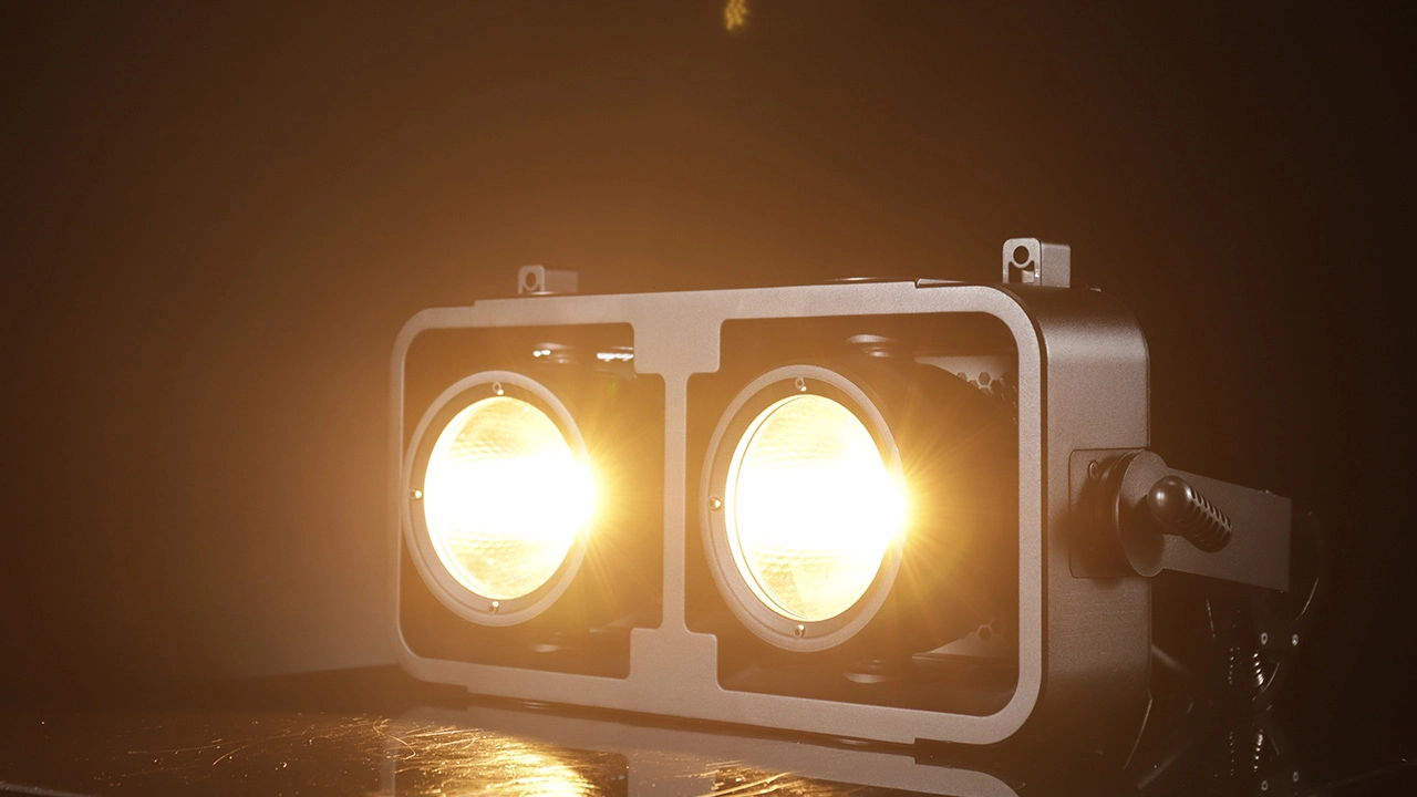 led indoor christmas lights - LiteLEES