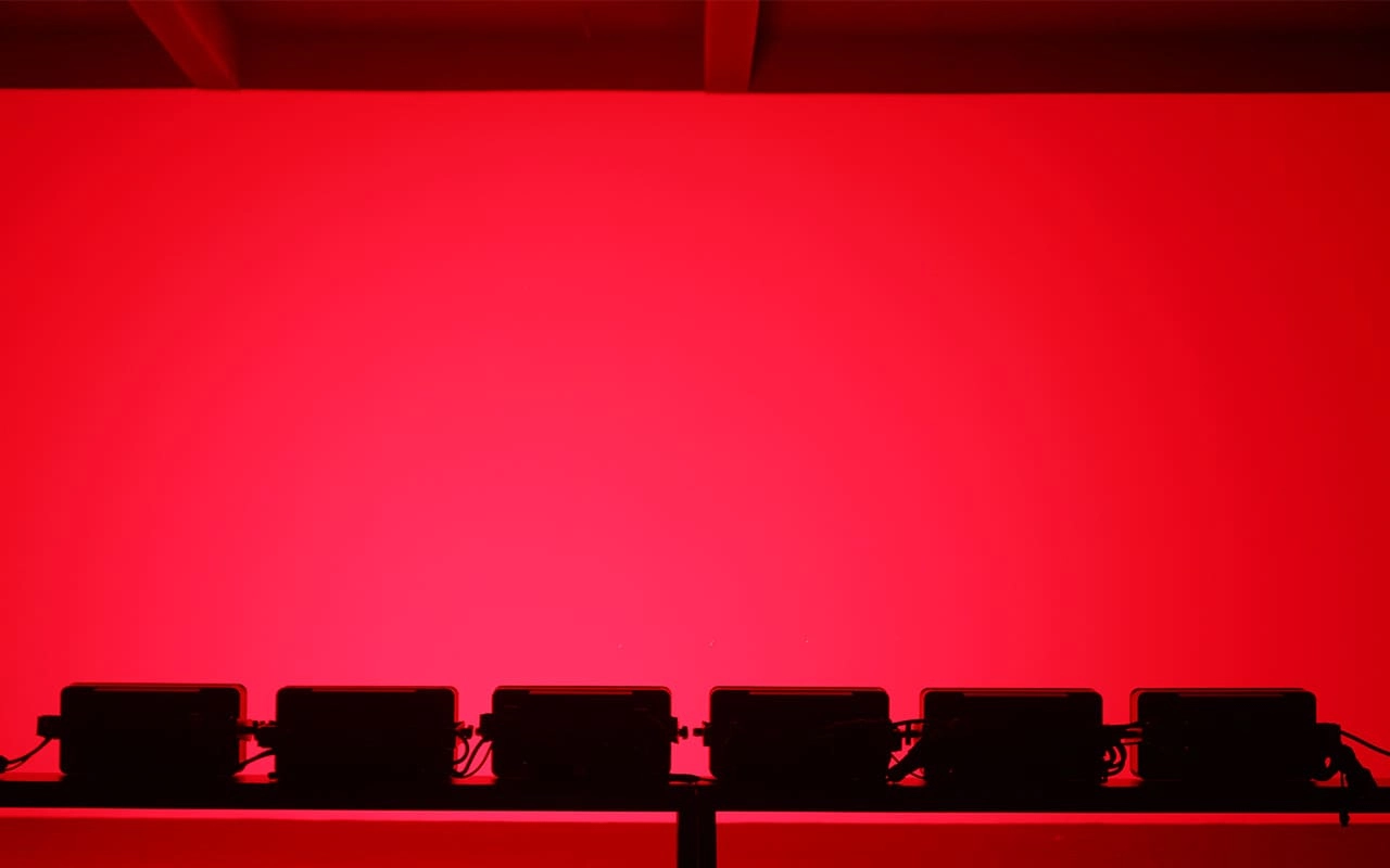 what is a cob light - LiteLEES