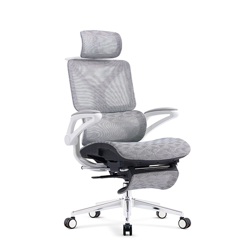 The Aegis Pro: Premium Ergonomic Mesh Chair with 4D Adjustability & Retractable Footrest