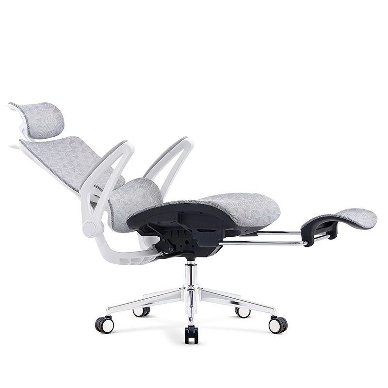 The Aegis Pro: Premium Ergonomic Mesh Chair with 4D Adjustability & Retractable Footrest - MEI YI