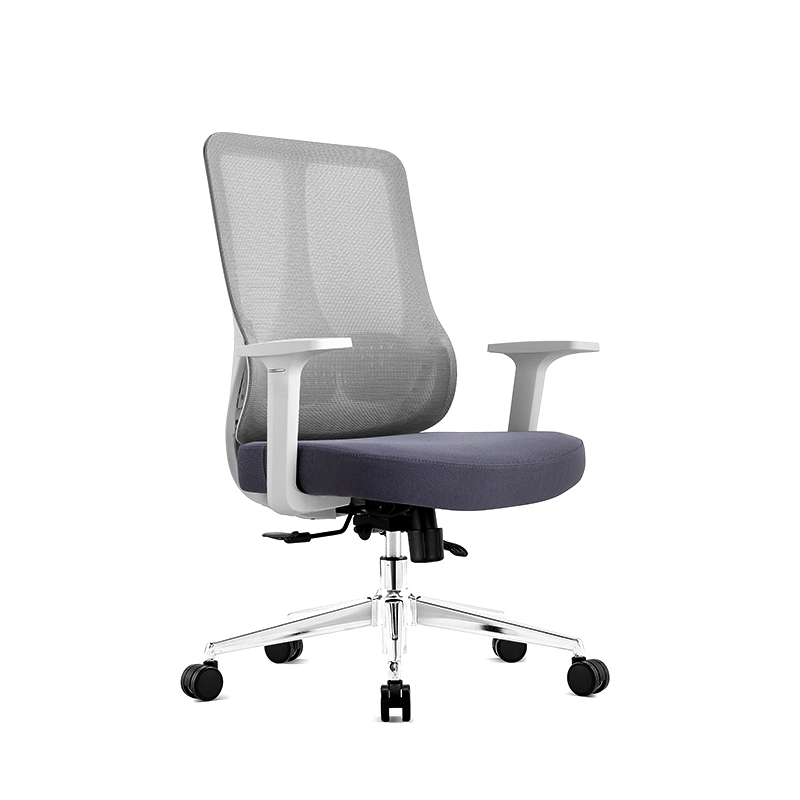 The ErgoSeries Pro: Ergonomic Office Chair with 3D Adjustable Lumbar Support & Premium Mesh Back - MEI YI