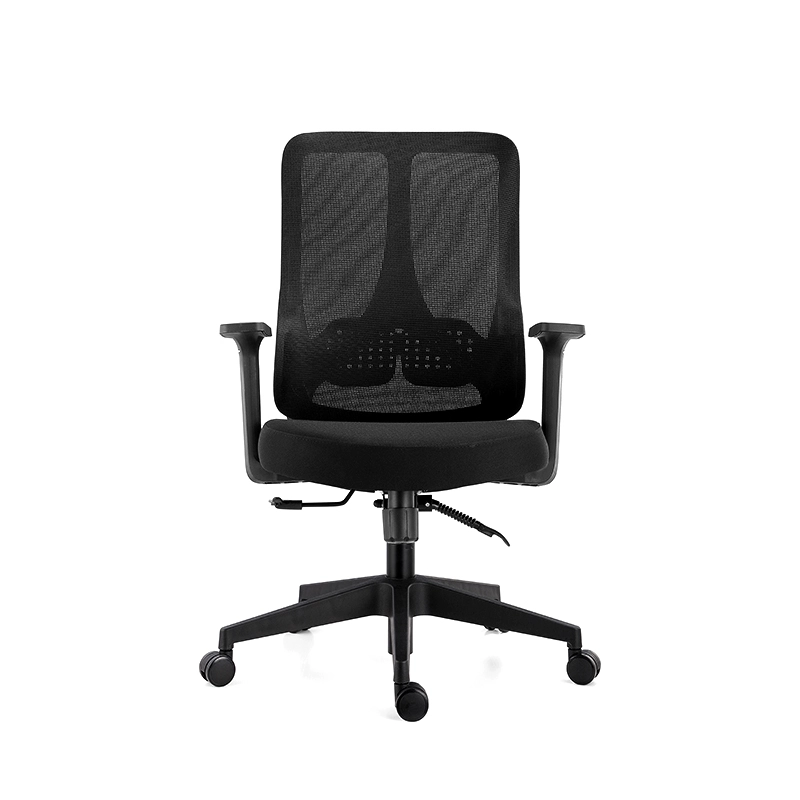 The ErgoSeries Pro: Ergonomic Office Chair with 3D Adjustable Lumbar Support & Premium Mesh Back - MEI YI