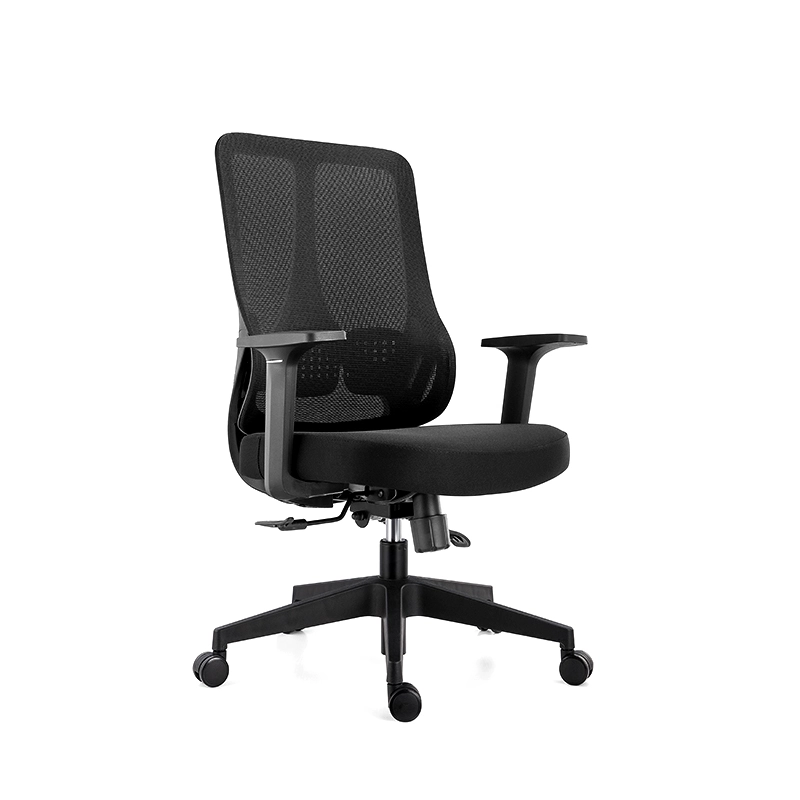 The ErgoSeries Pro: Ergonomic Office Chair with 3D Adjustable Lumbar Support & Premium Mesh Back - MEI YI