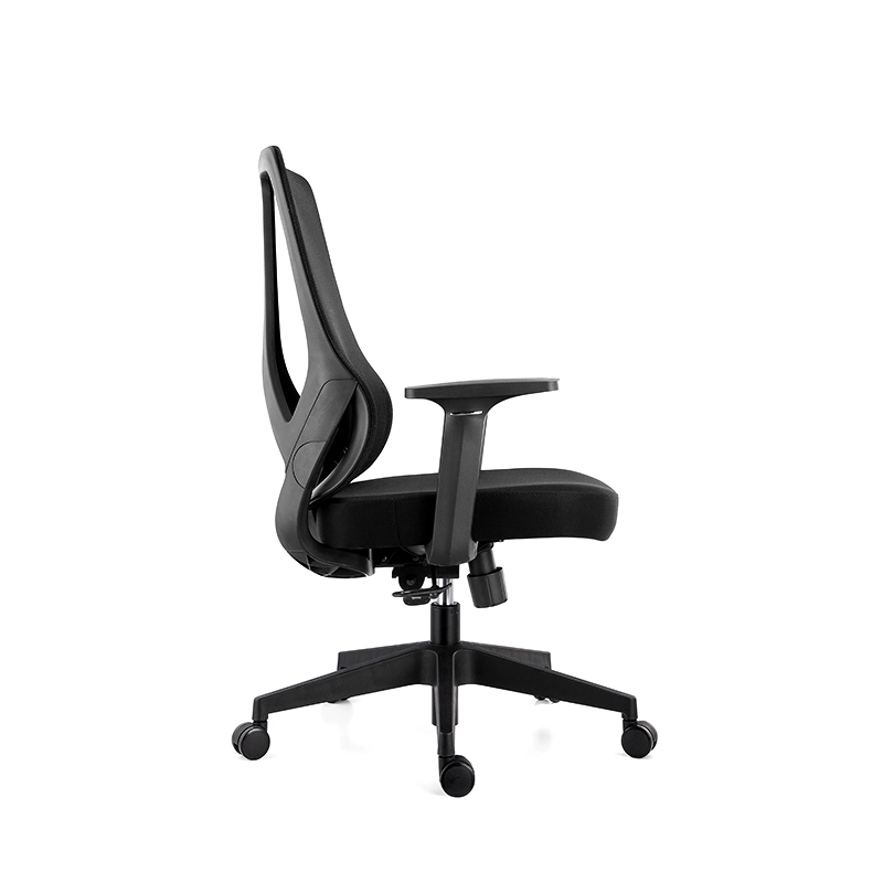 The ErgoSeries Pro: Ergonomic Office Chair with 3D Adjustable Lumbar Support & Premium Mesh Back - MEI YI