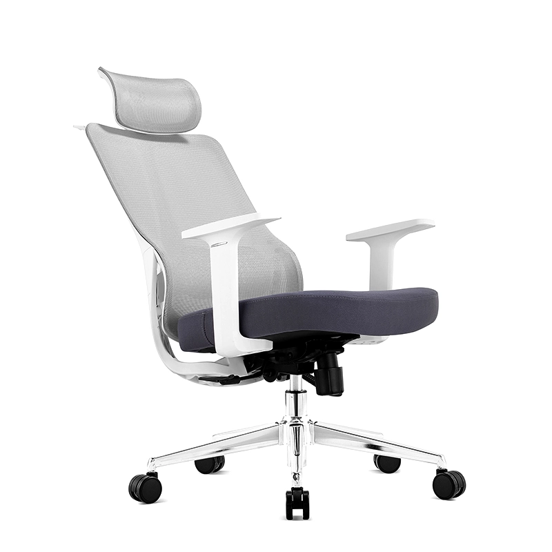 The ErgoSeries Pro: Ergonomic Office Chair with 3D Adjustable Lumbar Support & Premium Mesh Back - MEI YI