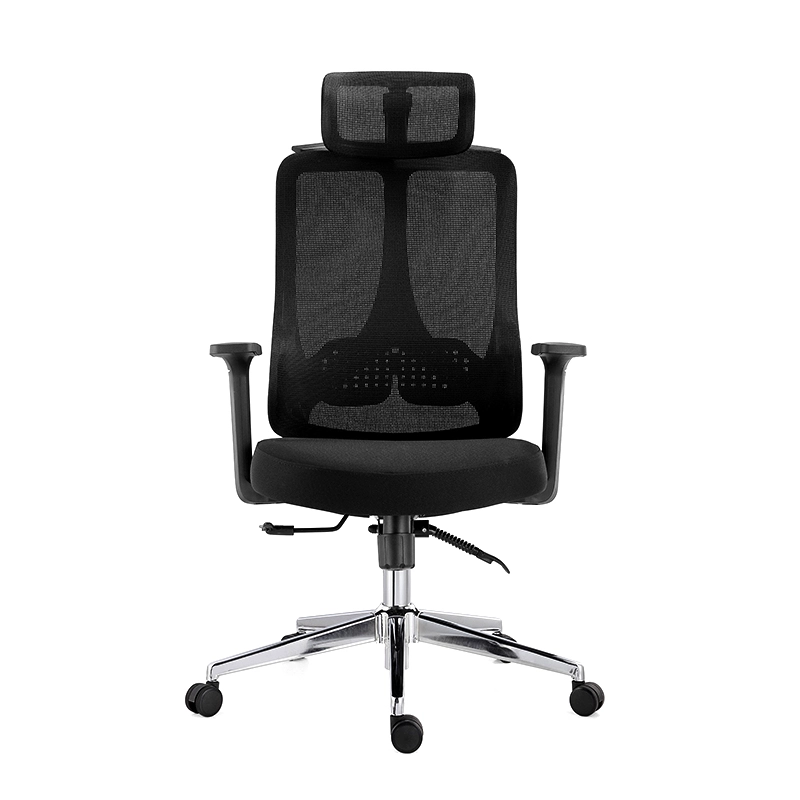 The ErgoSeries Pro: Ergonomic Office Chair with 3D Adjustable Lumbar Support & Premium Mesh Back - MEI YI