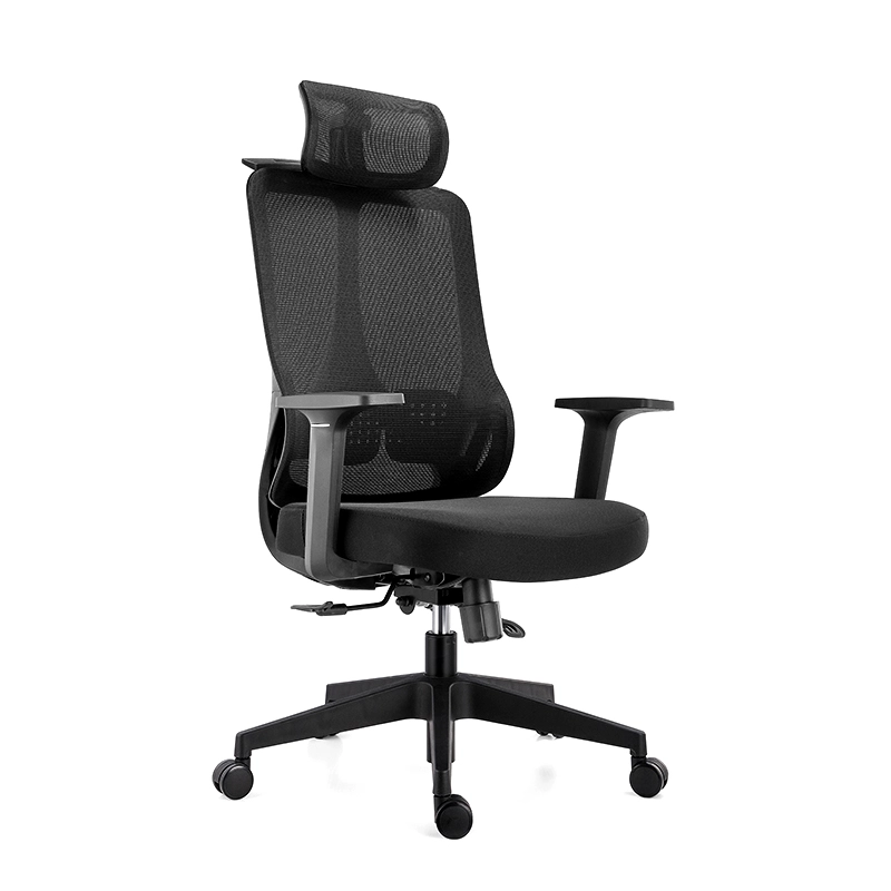 The ErgoSeries Pro: Ergonomic Office Chair with 3D Adjustable Lumbar Support & Premium Mesh Back - MEI YI