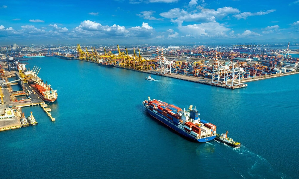Logistics & Customs clearance support - MEI YI
