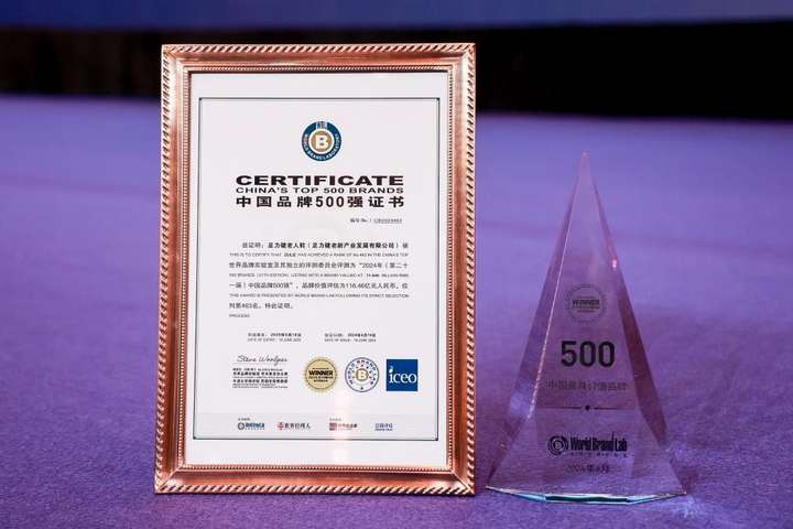 zuliz China&rsquo;s Top 500 Brands