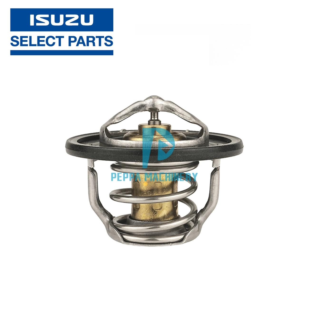 1876184310 1876184310