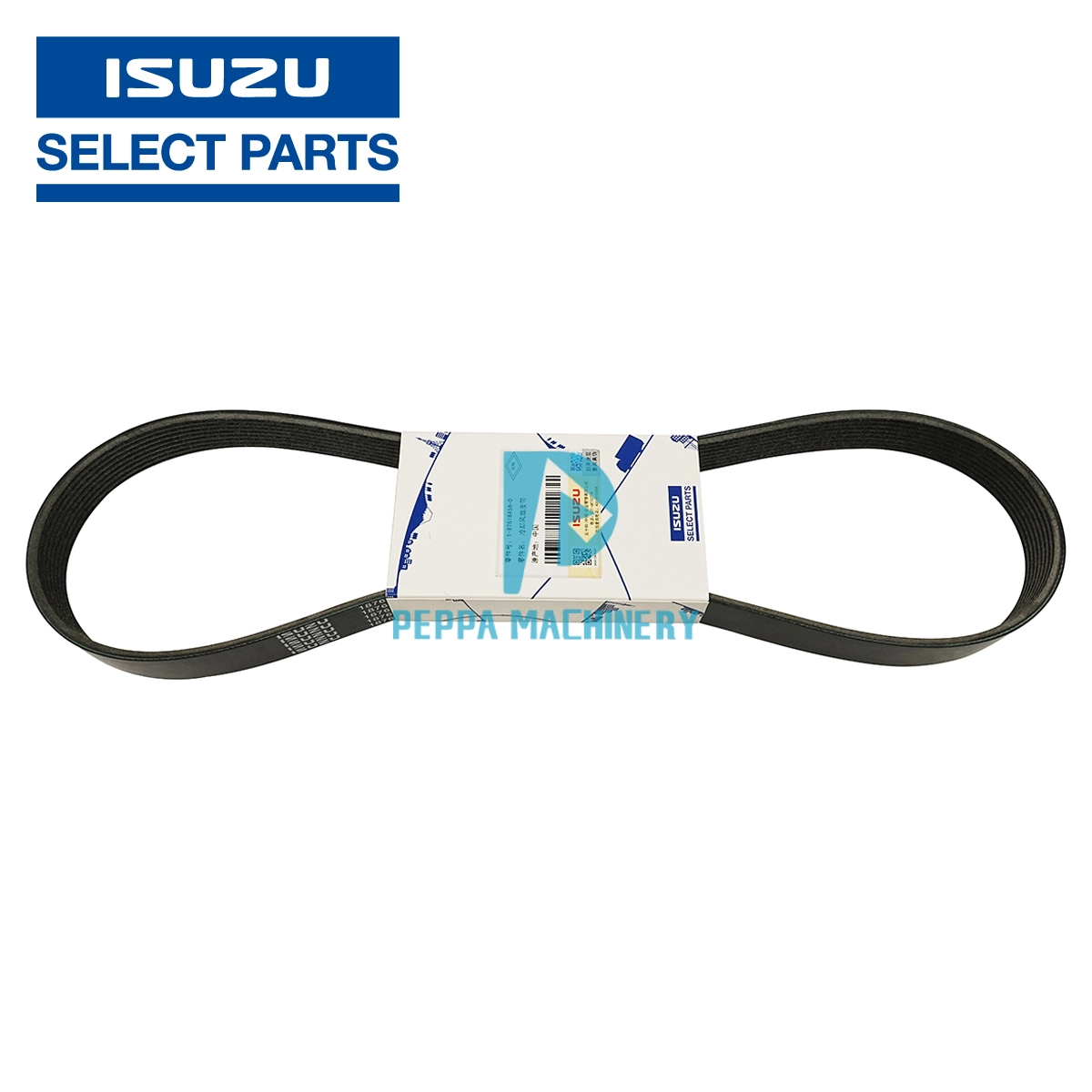 1876184560 1876184560