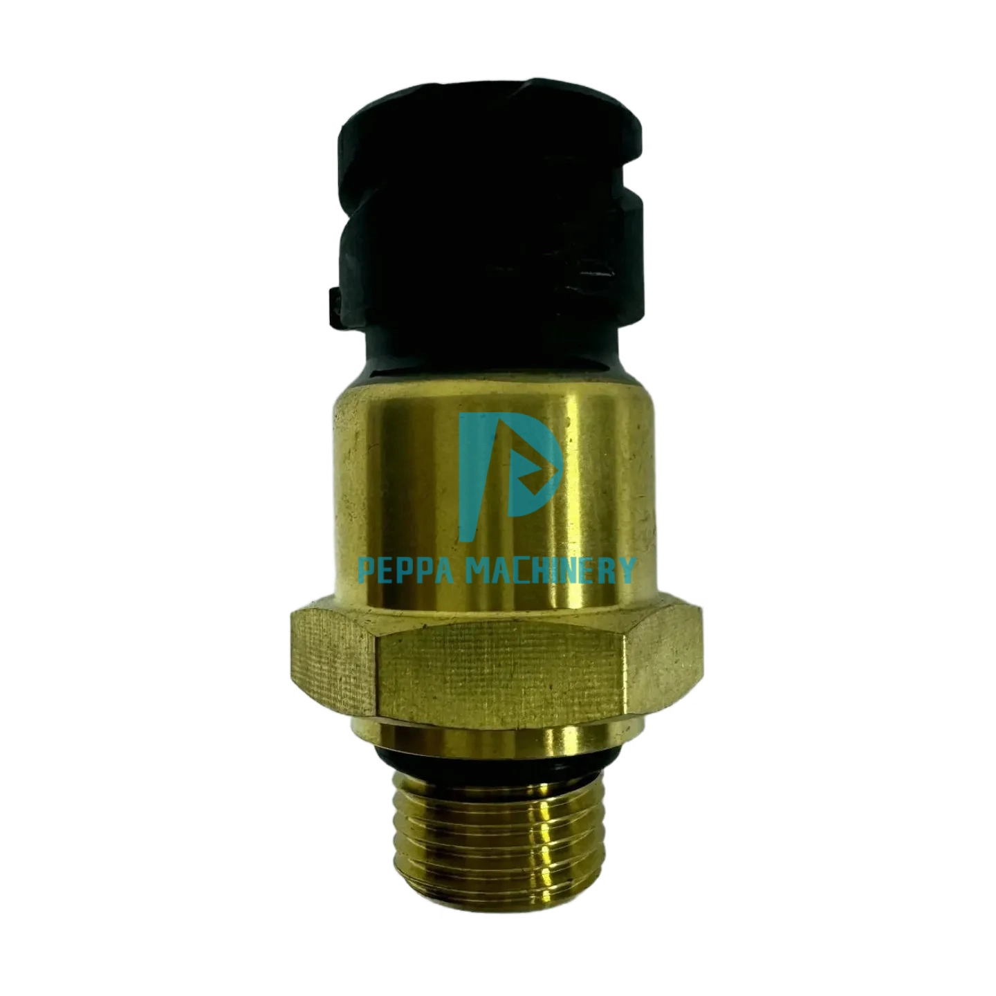 20829689 (3) 20829689 (3)