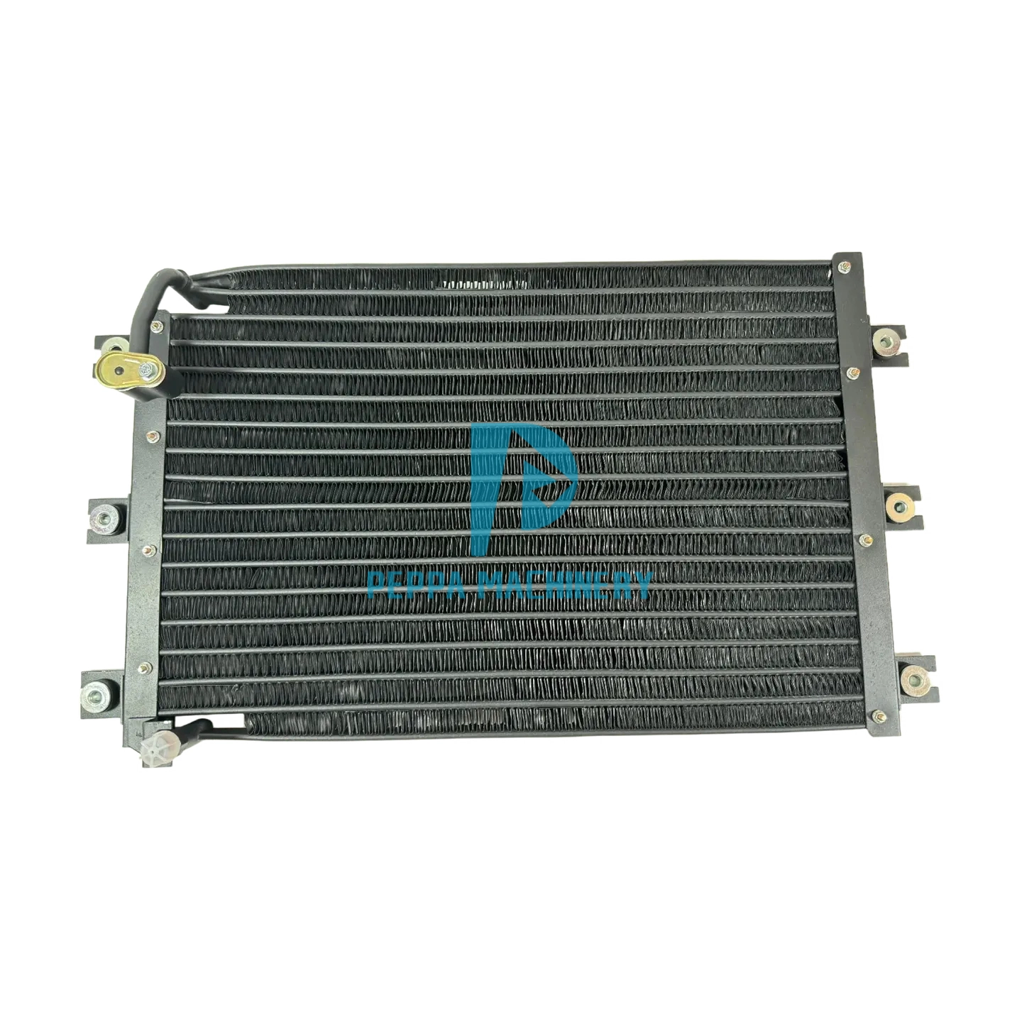 2520-6007 (1) 2520-6007 (1)