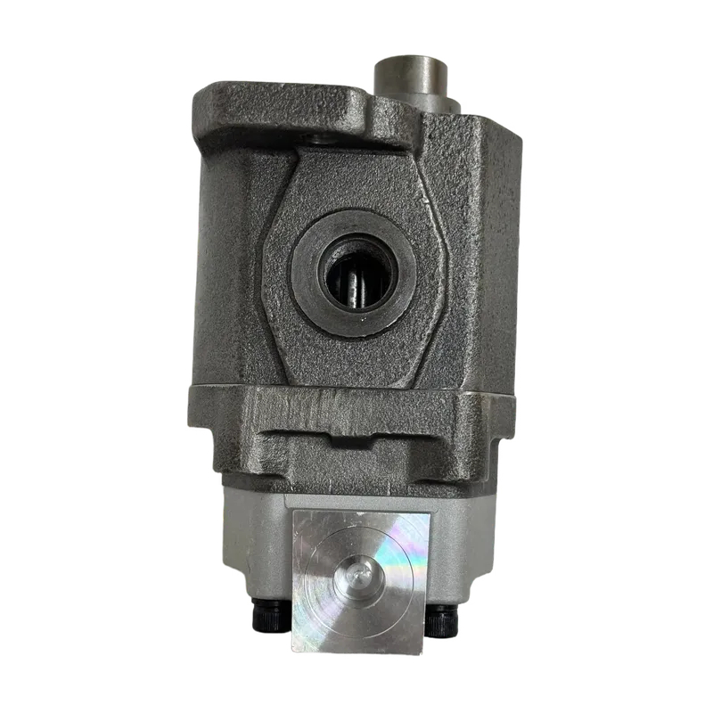 EC55齿轮泵AP2D28 (3)