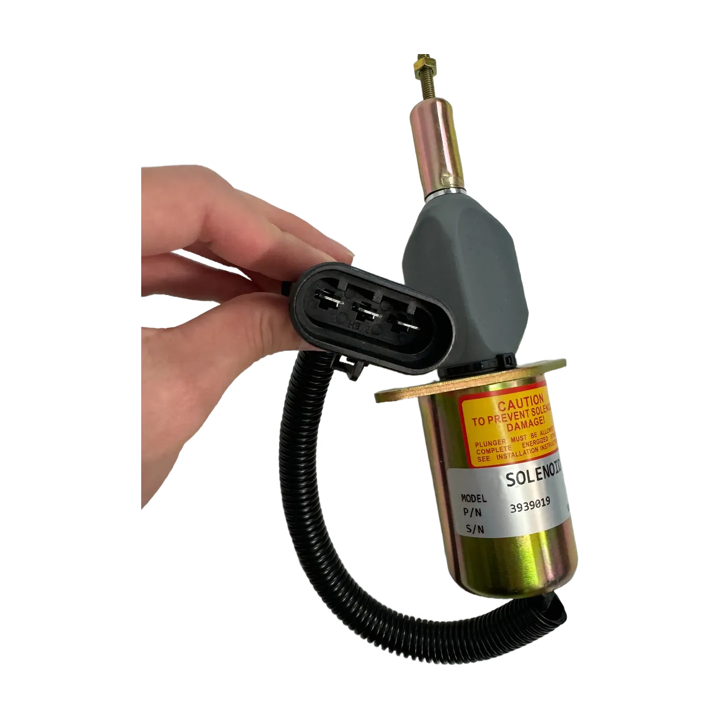 3939019 (2) 3939019 (2)