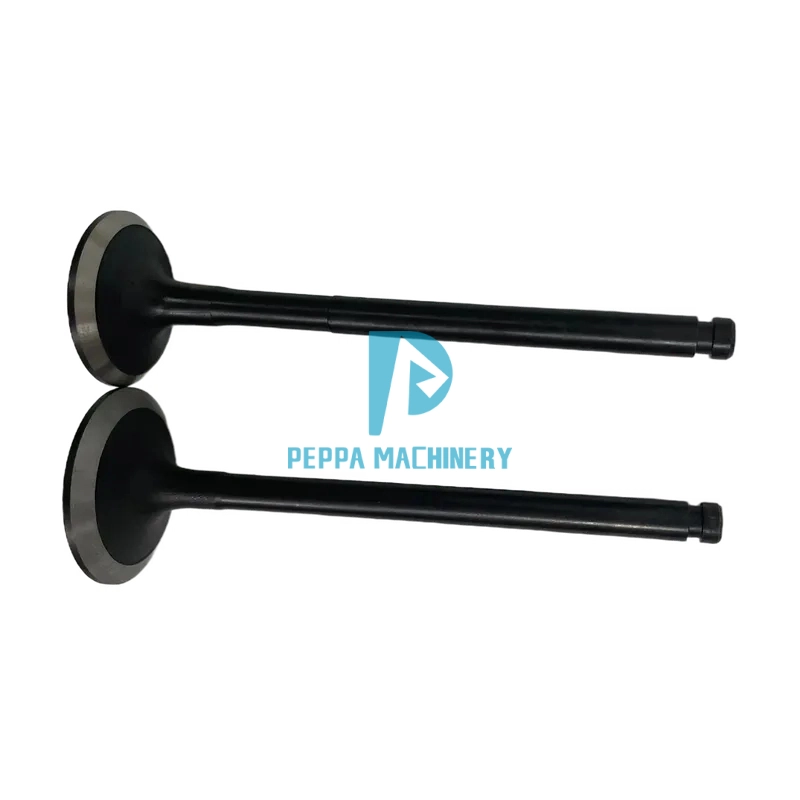 6D95-4D95exhaust valve 6620941-4210 6D95-4D95exhaust valve 6620941-4210