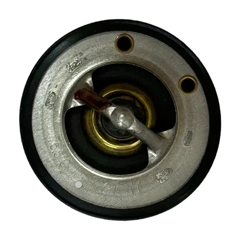 6HK1T ZX330-3thermostat8-98090464-1 ..