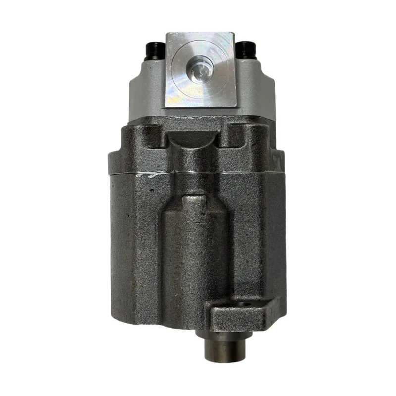 EC55齿轮泵AP2D28 (6)