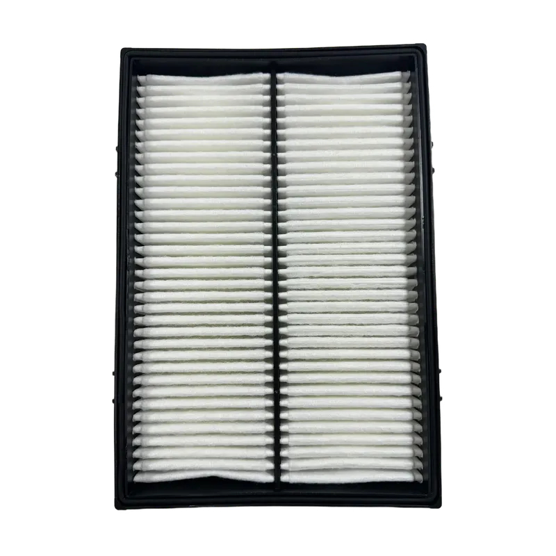 Air Conditioning Filter 4643580 4S00685 (3)