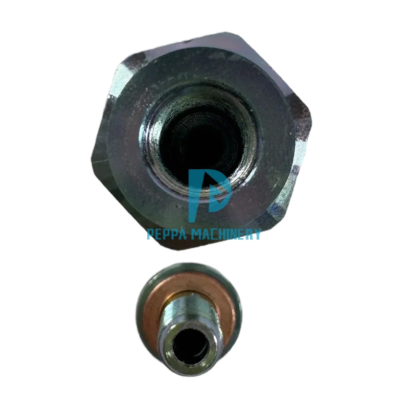 Common Rail Diesel Fuel Pressure Relief Limiter Valve 095420-0560 (3) Common Rail Diesel Fuel Pressure Relief Limiter Valve 095420-0560 (3)