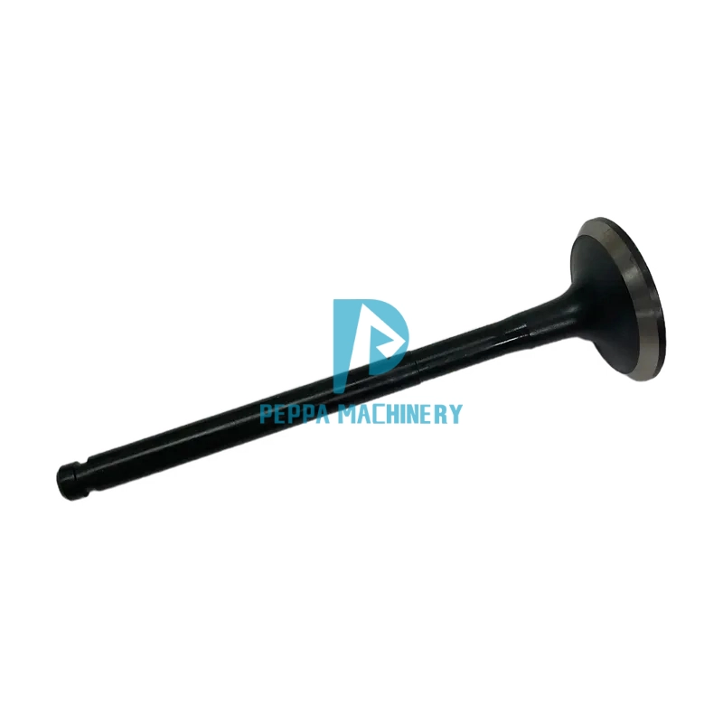 exhaust valve exhaust valve