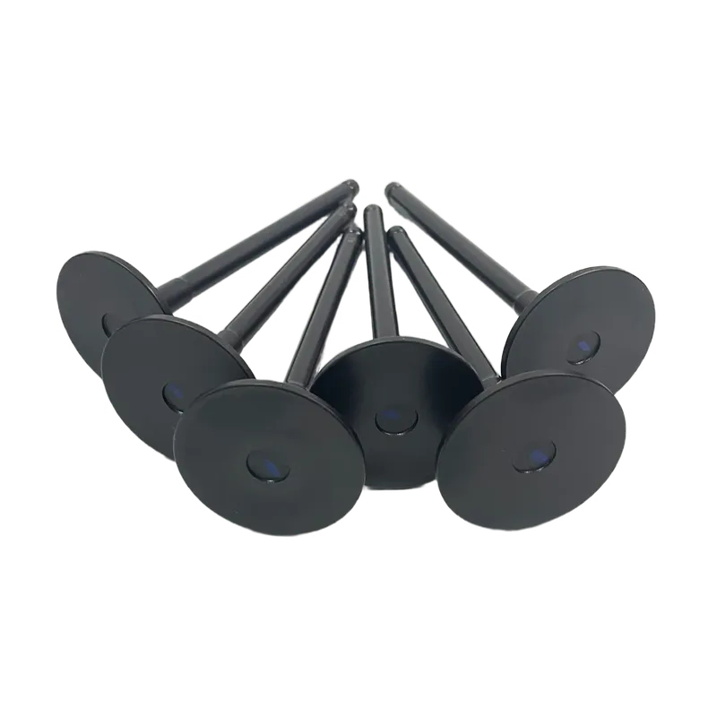 intake valve C4995554  ,