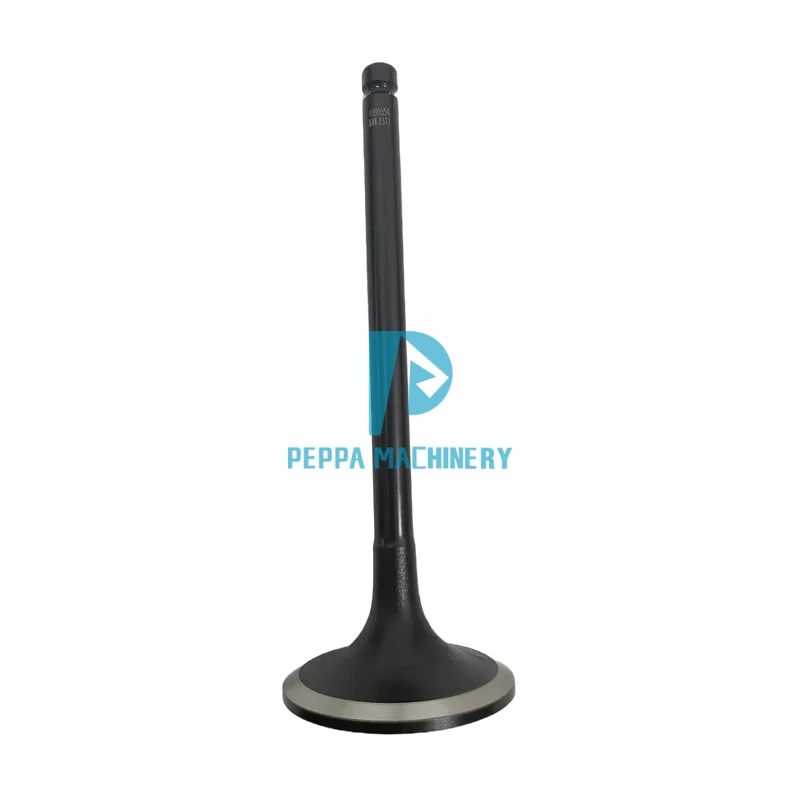 intake valve C4995554 ., intake valve C4995554 .,