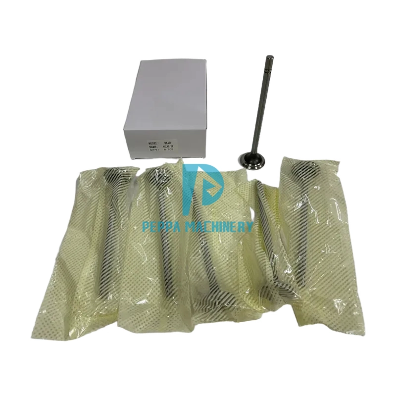 intake valve.... intake valve....