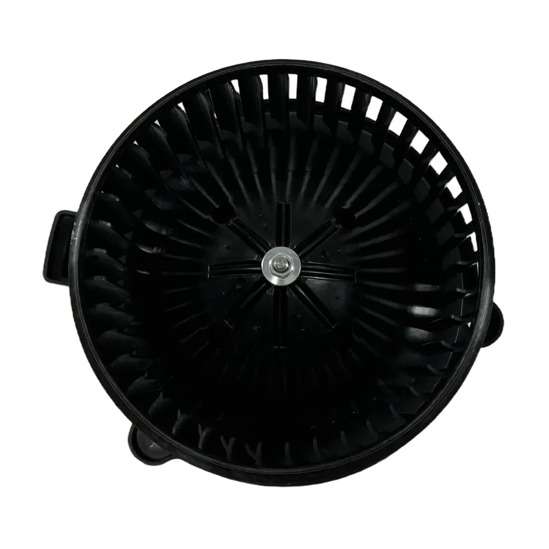 K1002206 Blower Motor For Doosan Daewoo (3)