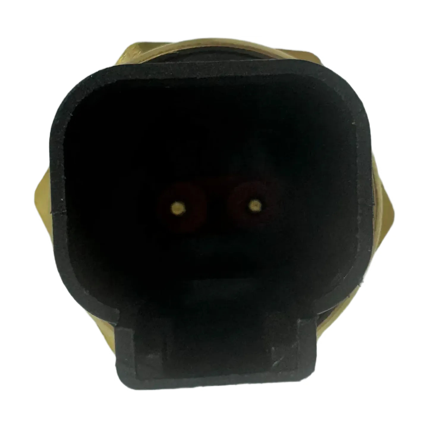 Temperature Sensor 130-9811 (3)