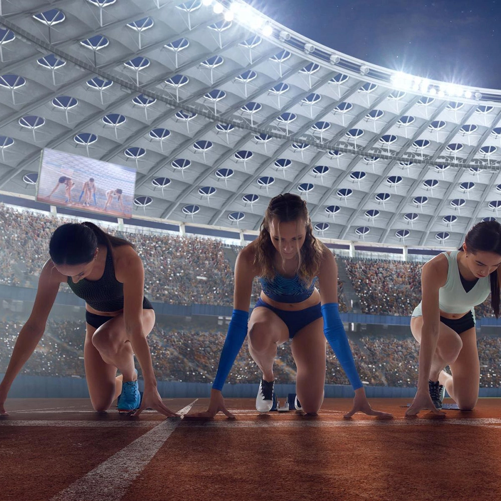 audiophile power distributor