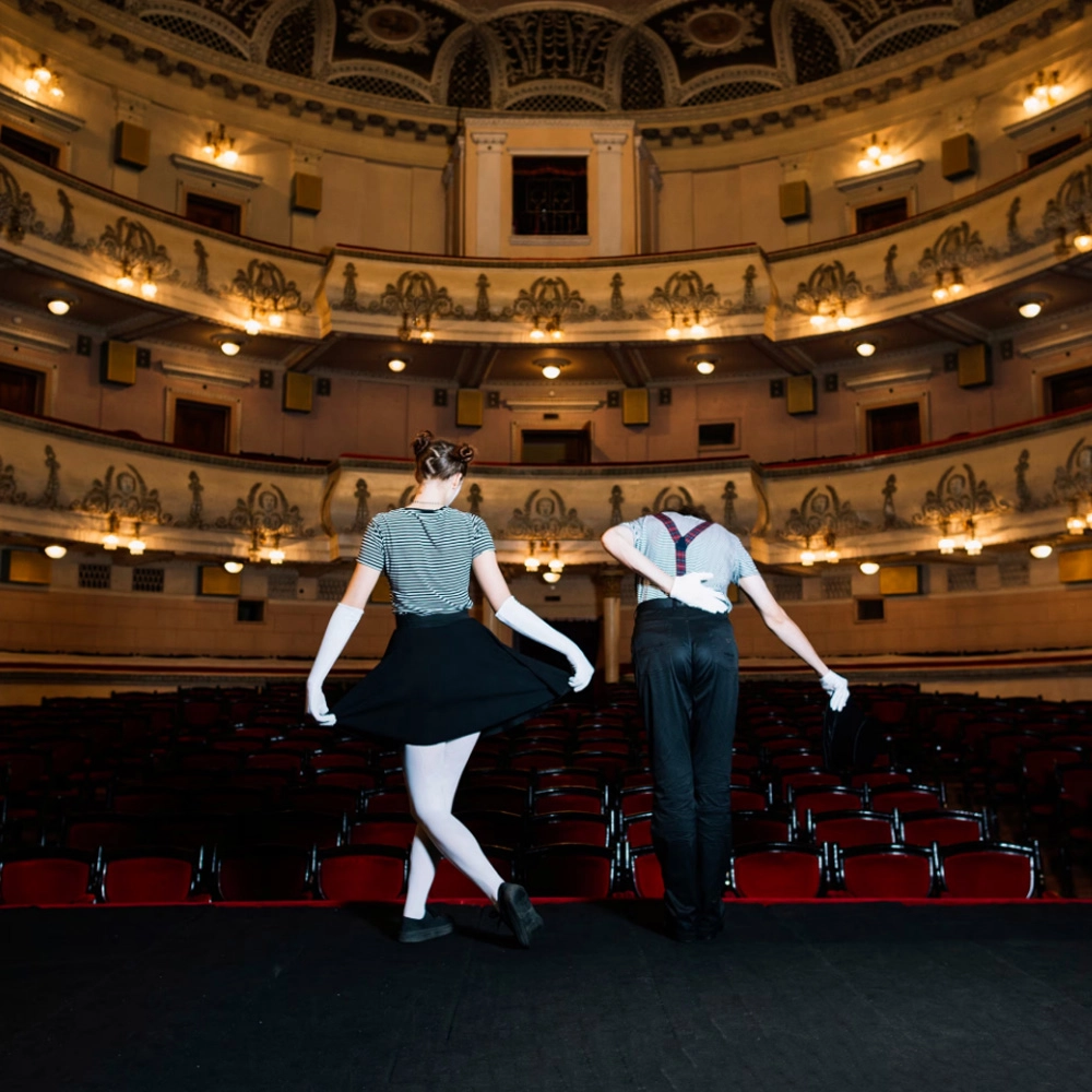 radius power distributor