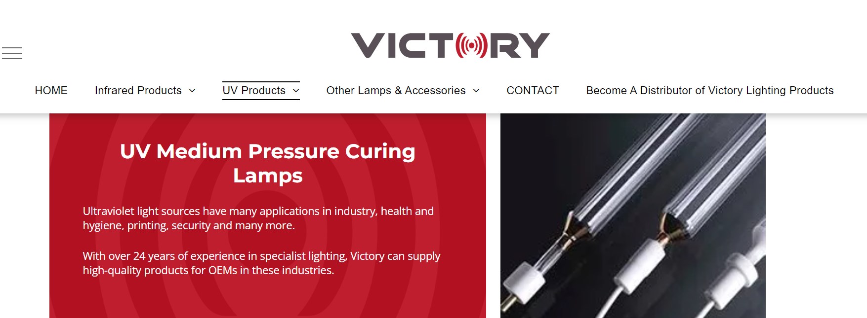 VICTORY curing lamp manufacturer