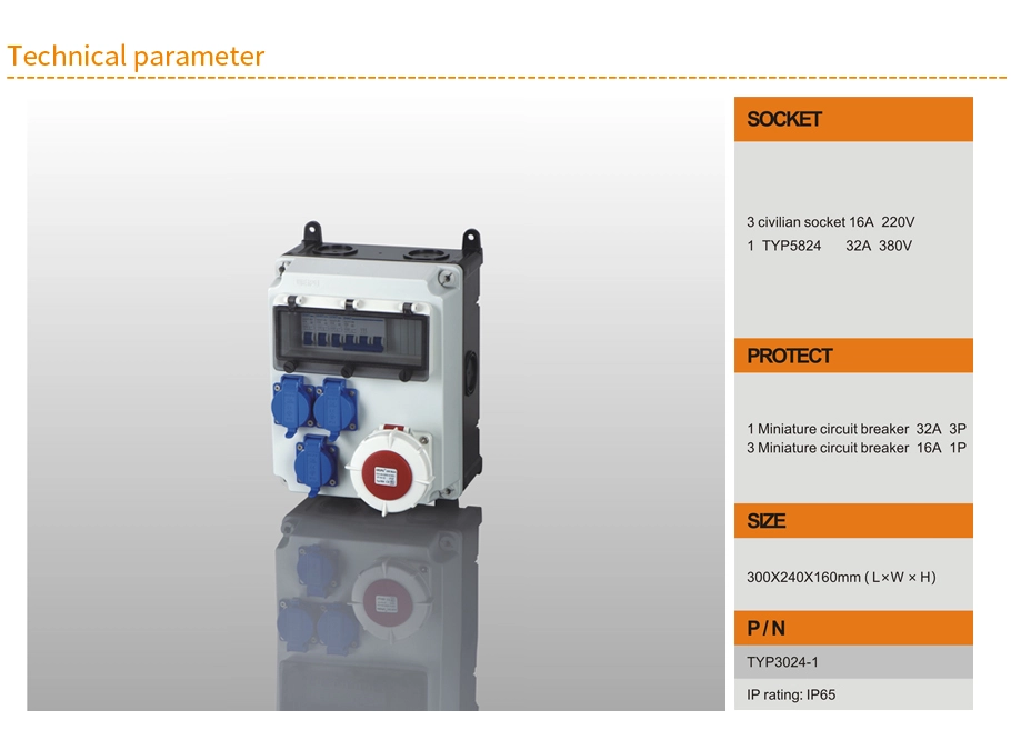 TYP3024-1 IP65 Product Specifications a - WEIPU