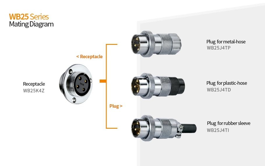 WB25J4TD [Configuration Table] - WEIPU