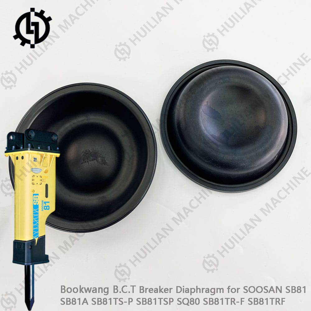 SB81 bks diaphgam