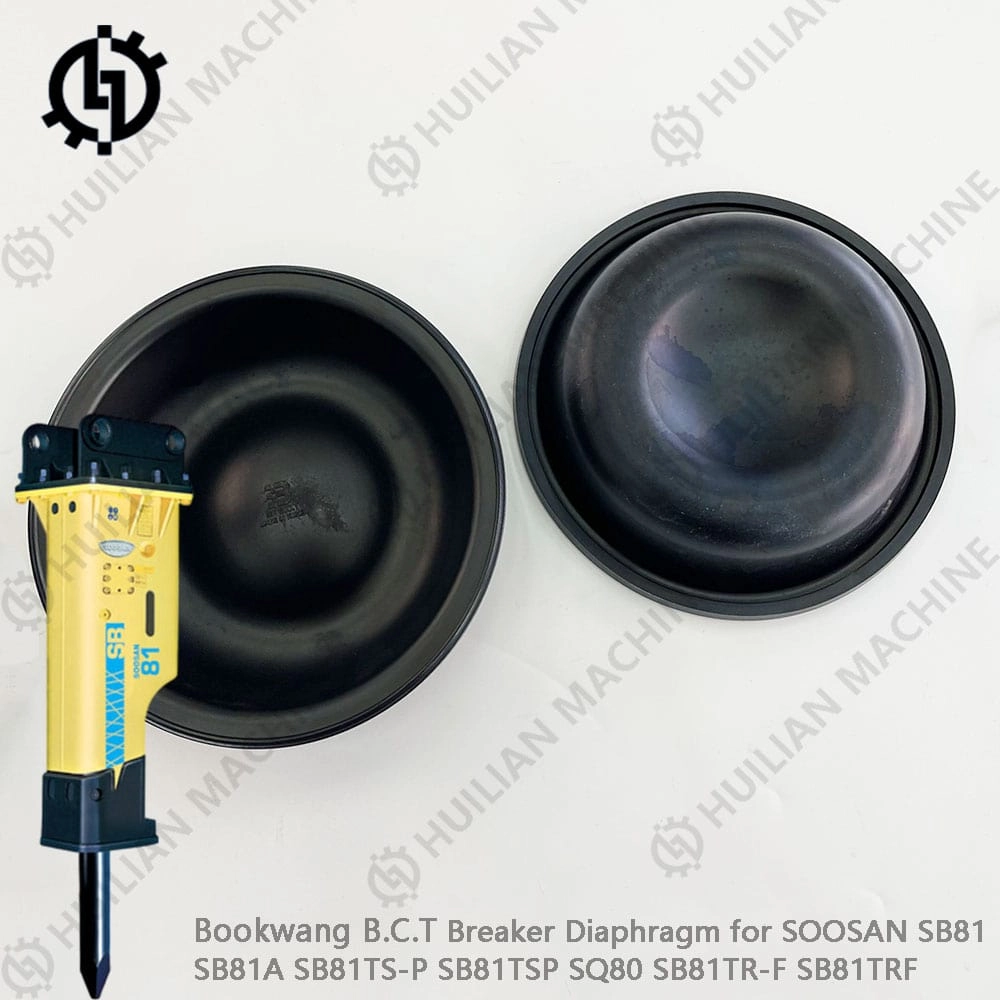 SB81 bks diaphgam