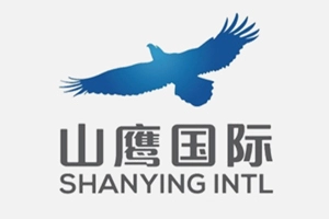 keshenglongPartners-Mountain-Eagle-International keshenglongPartners Mountain Eagle International