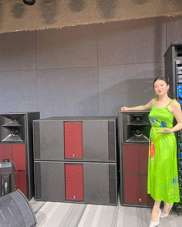 15in-speakers-disp 15in speakers disp