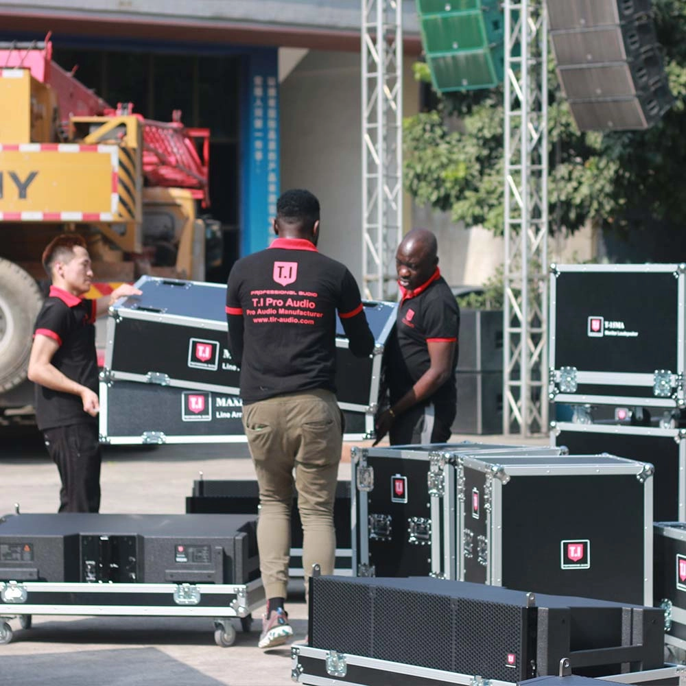 MAX 212 Line array