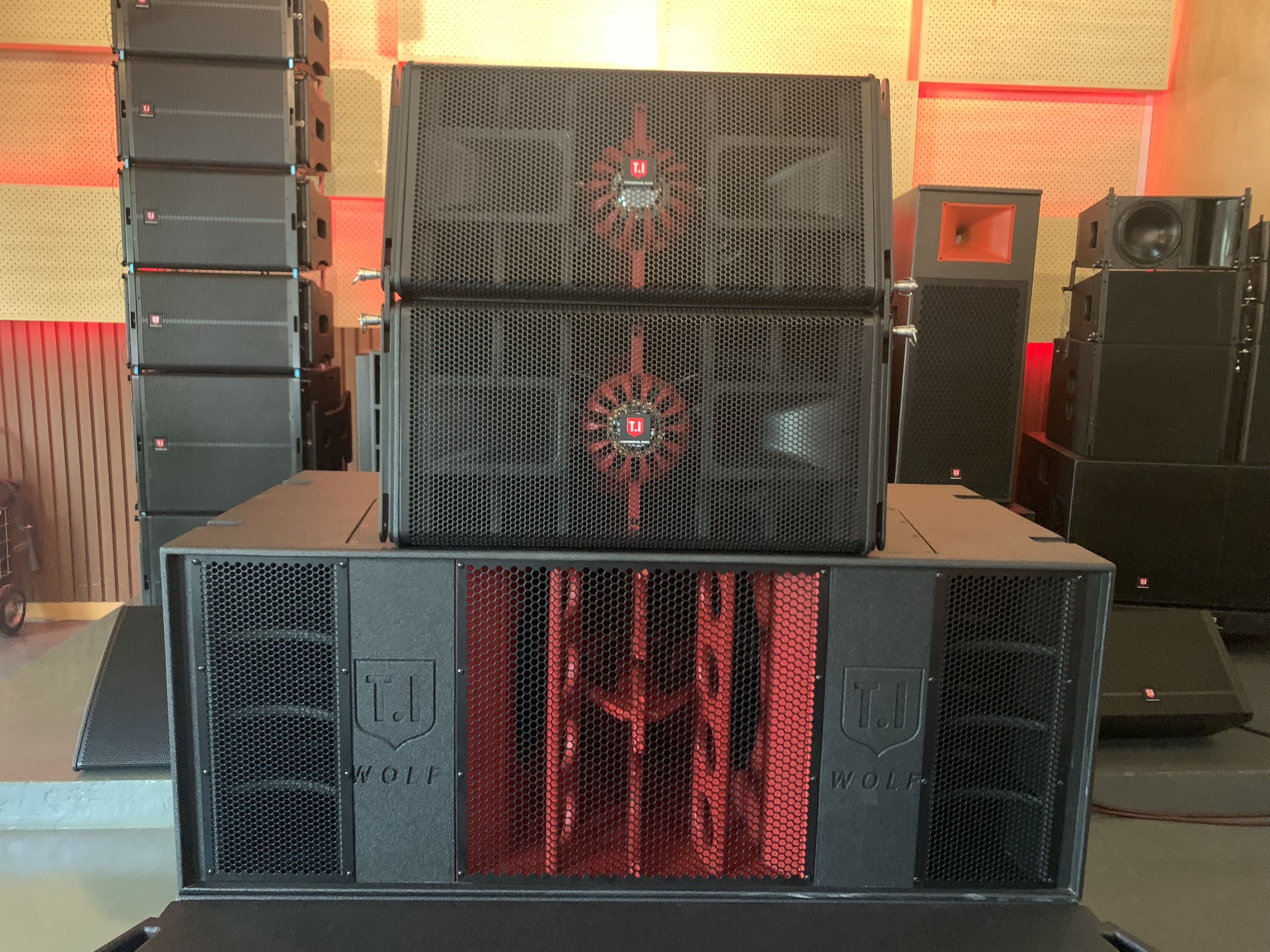 T.I Pro Audio Wolf Series Line Array System