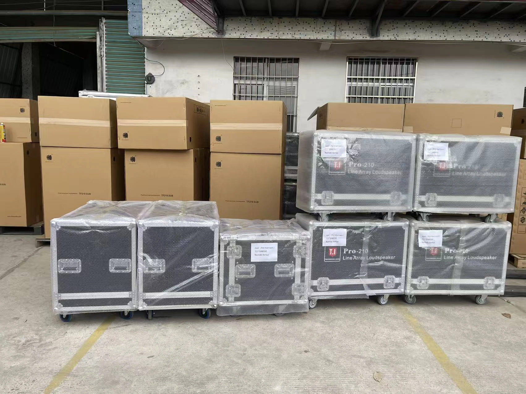 Pro210 dual 10 inch line array shipment (1)