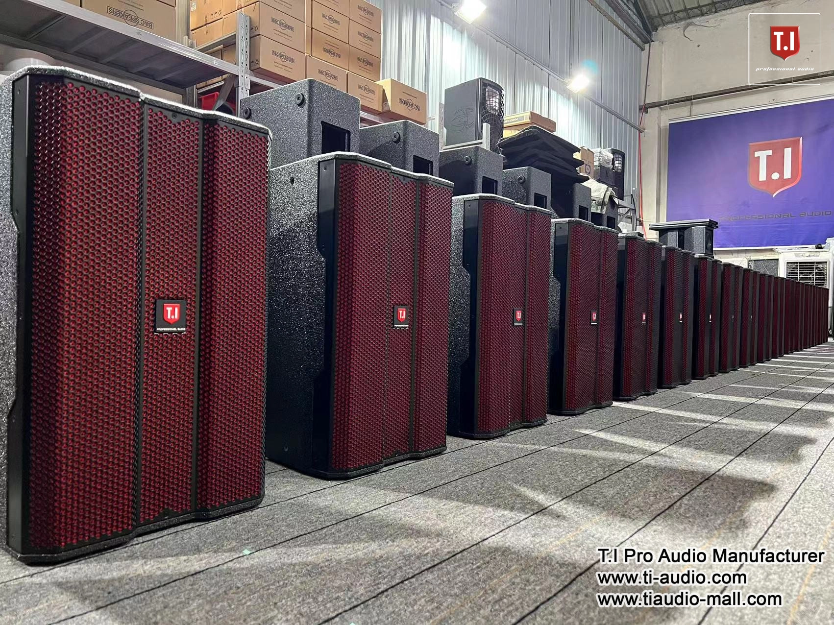 Ti Pro Audio T-12 – Where Sonic Power Meets Venue Domination