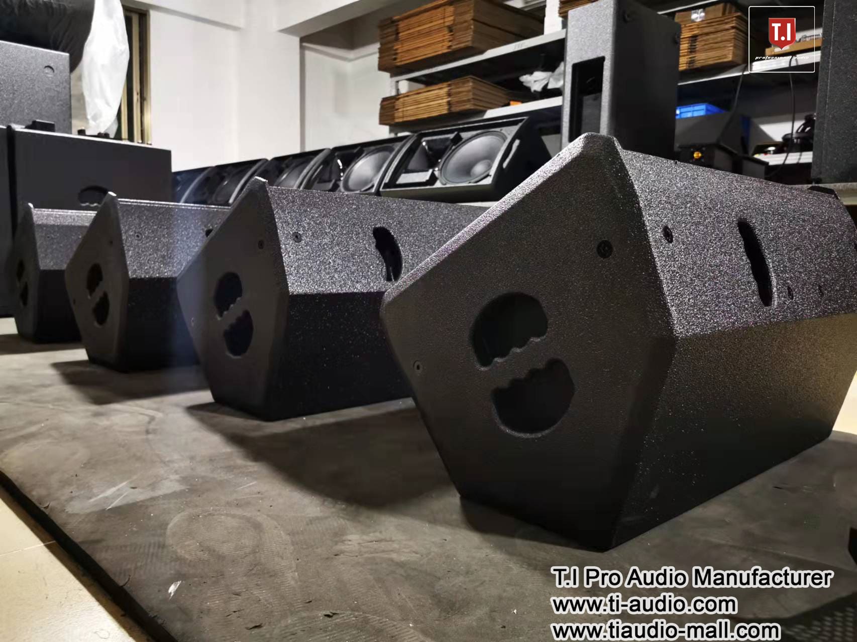 Ti Pro Audio T-12 – Where Sonic Power Meets Venue Domination